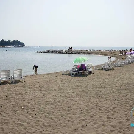 Apartman Olea