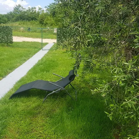 Olea אומאג