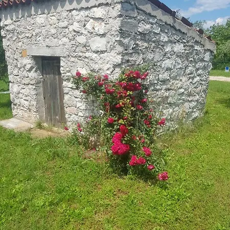 Olea Apartment